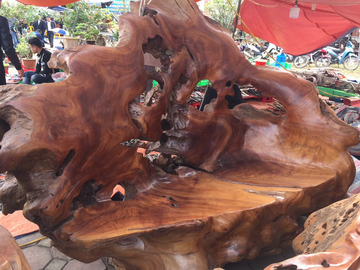 Những chiếc ghế, bàn được làm từ nguyên khối gỗ lũa nên chất gỗ rất chắc, cứng và nặng, vân gỗ nhìn rất đẹp, thớ mỏng và mịn.