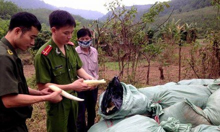 Kinh hoang gan 22 tan mang ngam diem sinh doc hai