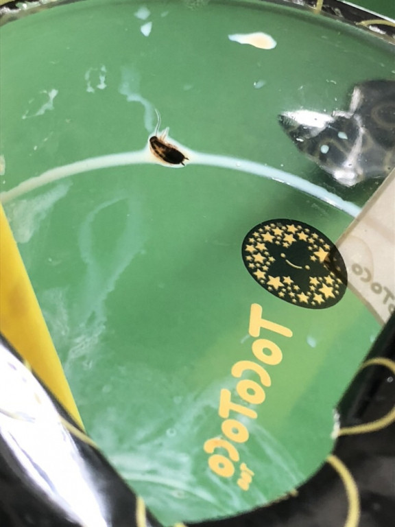 Tra sua Tocotoco bi to sieu “ban”, doanh nghiep noi gi?-Hinh-2