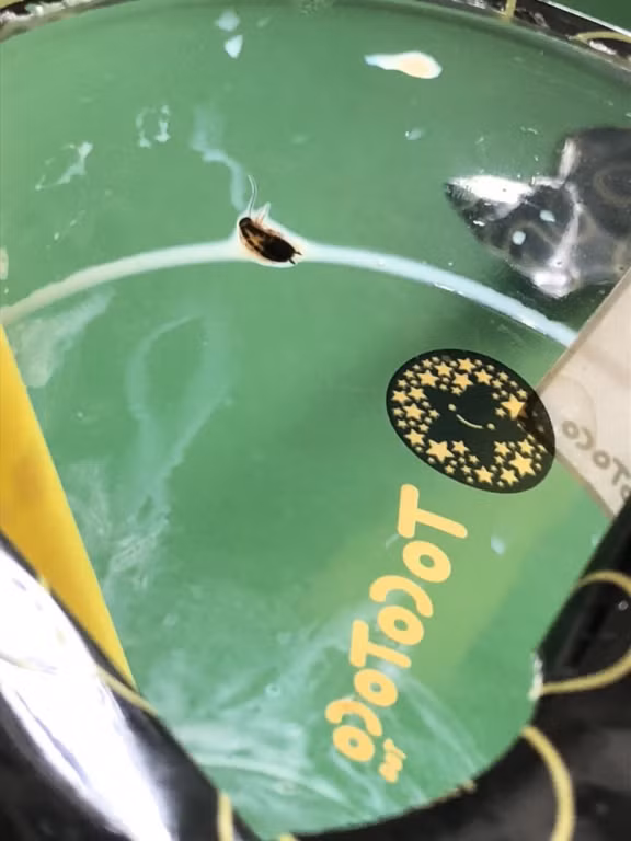 Tra sua Tocotoco bi to sieu “ban”, doanh nghiep noi gi?-Hinh-2