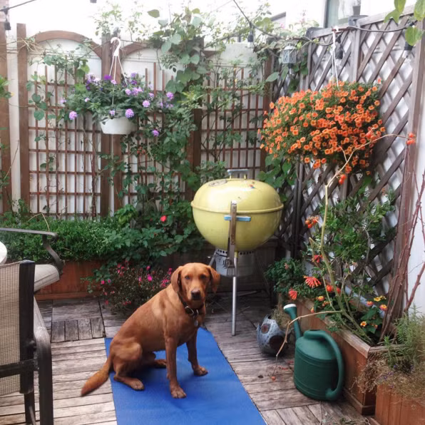 9 khong gian thien tuyet voi trong ngoi nha ban