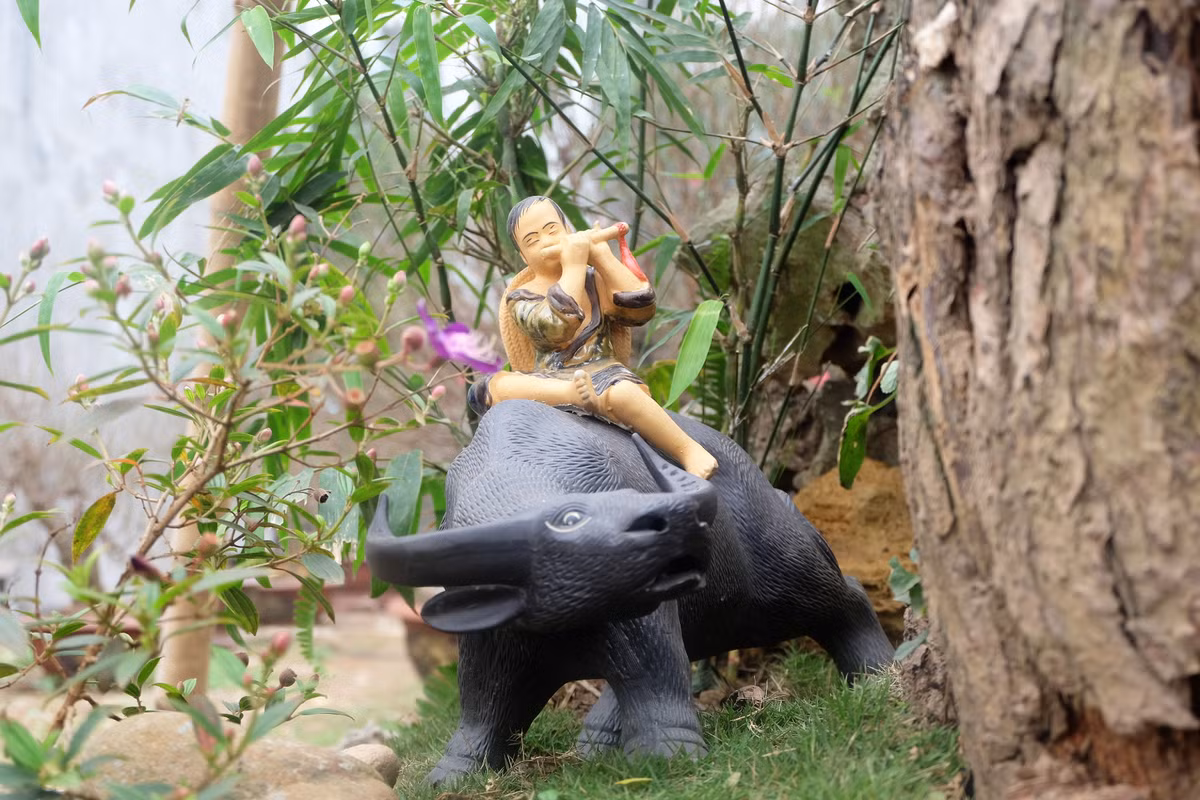 Không chỉ chăm sóc cây cầu kỳ, chủ vườn đào này còn tạo thêm tiểu cảnh trang trí cho cây đào thế với những loại cây như sim cảnh, tùng, trúc và tượng cậu bé ngồi lưng trâu thổi sáo.