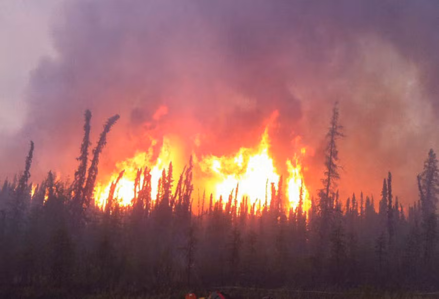  Nhân viên cứu hộ nhảy dù: Với lương hàng năm khoảng 33.000 USD, họ chuyên chịu trách nhiệm nhảy dù để tới khu vực sa mạc hoặc chữa cháy rừng.