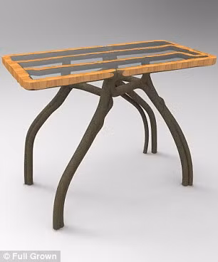 Những sản phẩm bàn ghế từ thân cây tự nhiên này khi bán ra thị trường rất được ưa chuộng dù có giá không hề rẻ.