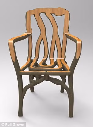 Hầu hết các sản phẩm của anh đều được đặt hàng trước và bán với giá 2.500 bảng Anh (hơn 74 triệu đồng) cho mỗi chiếc ghế...