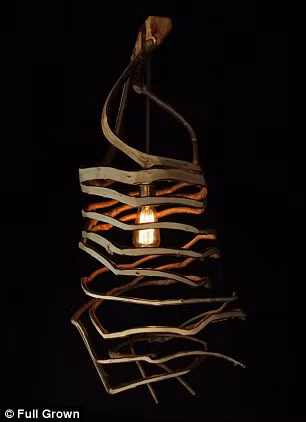 Những chiếc đèn trần độc đáo như thế này là món sản phẩm ưa thích của những người yêu thiên nhiên.