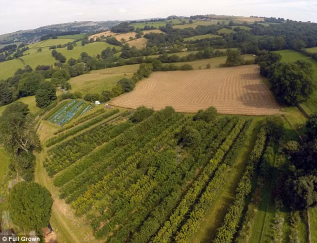 Toàn cảnh khu vườn rộng lớn của Gavin Munro. Nguồn ảnh: Dailymail.