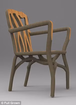 Munro chủ yếu sử dụng cây liễu để thiết kế nên những sản phẩm nội thất nhưng anh cũng đang thử nghiệm thêm với một số loại cây khác như sồi, sứa, cây sung dâu,...