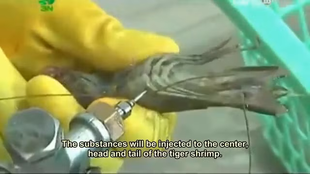 Việt Nam là một trong những thị trường nhập khẩu tôm lớn nhất thế giới. Nước Anh đã nhập khẩu hàng trăm tấn tôm từ Việt Nam.