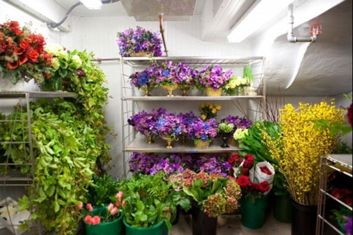 Khu cửa hàng hoa tươi là nơi cung cấp một lượng hoa lớn cho các sự kiện trọng đại cũng như trang trí tòa nhà.