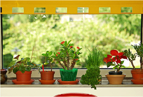 Các kiến trúc sư cho rằng, con người ngày càng để ý đến sức khỏe và lợi ích thiên nhiên vì vậy mà các đối tượng nội thất trên hoàn toàn là lựa chọn hoàn hảo.