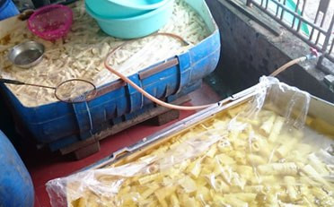 Kinh hai phat hien 5 tan mang co doi 