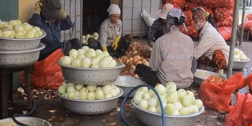 Giat minh xuong san xuat hanh kho sieu ban giua Ha Noi