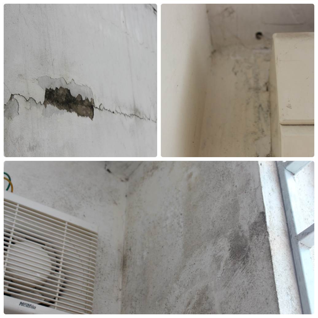 Nước từ mái nhà dột qua các tấm panel xuống hành lang, căn hộ áp mái. Tình trạng thấm nước từ mặt tường ngoài vào trong nhà, căn hộ gây ẩm mốc, bốc mùi. Đặc biệt, cửa gỗ trong nhiều căn hộ bị mối mọt đục rỗng, nguy cơ sập cửa gây mất an toàn. Ảnh: Tiền Phong.