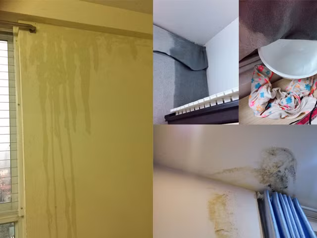 Tuy nhiên, hiện thông tin về kết quả kiểm tra vẫn chưa được công bố.