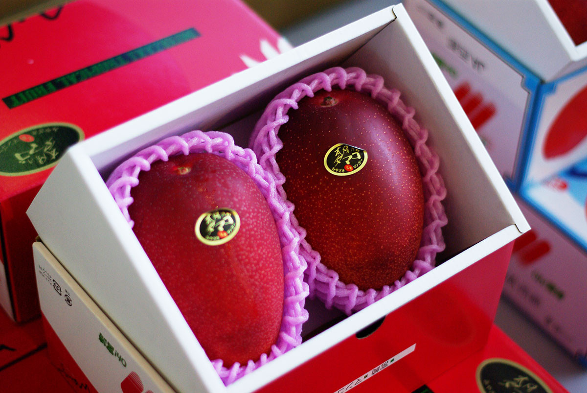 Xoài đỏ Miyazaki được trồng hoàn toàn tự nhiên, hạt bé và được quảng cáo là có độ ngọt gấp 15 xoài bình thường. Ảnh: The-way-of-japan.