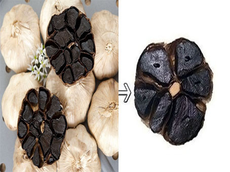 Tỏi Lý Sơn củ thường nhỏ như ngón tay út, nhiều tép, tép nhỏ, không có lõi. Trong khi đó tỏi đen Trung Quốc có màu xám, củ tỏi to như ngón tay cái.