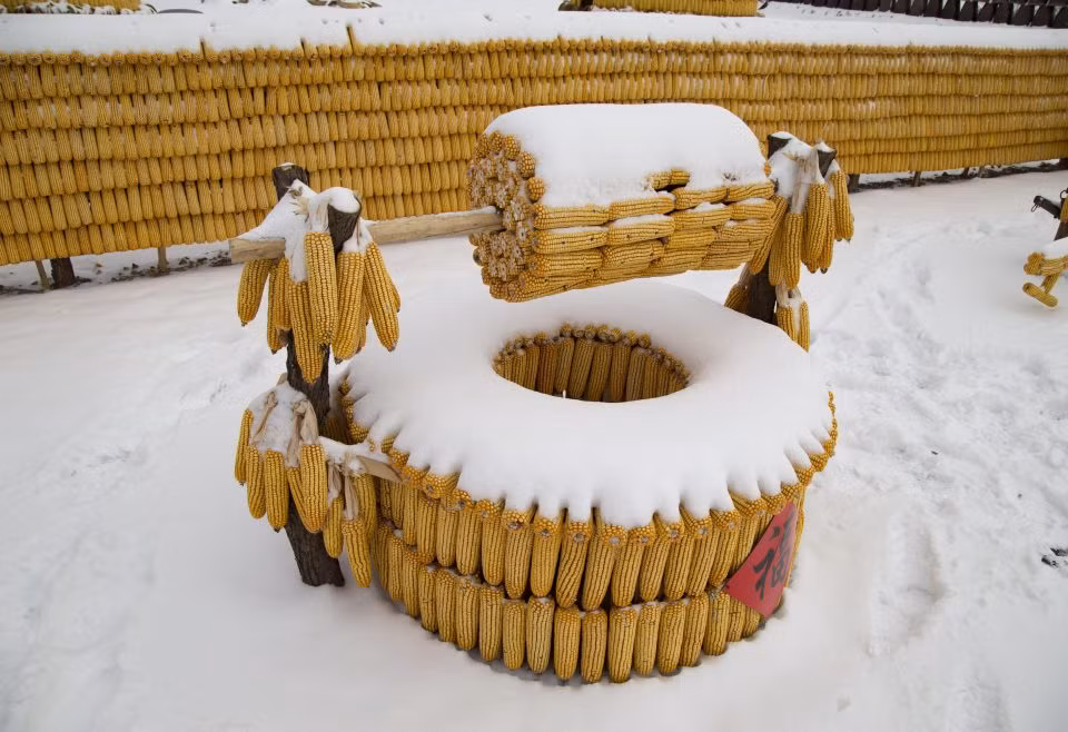 Một chiếc giếng “ngô” cũng được xây dựng đi kèm. (Ảnh Thesun)