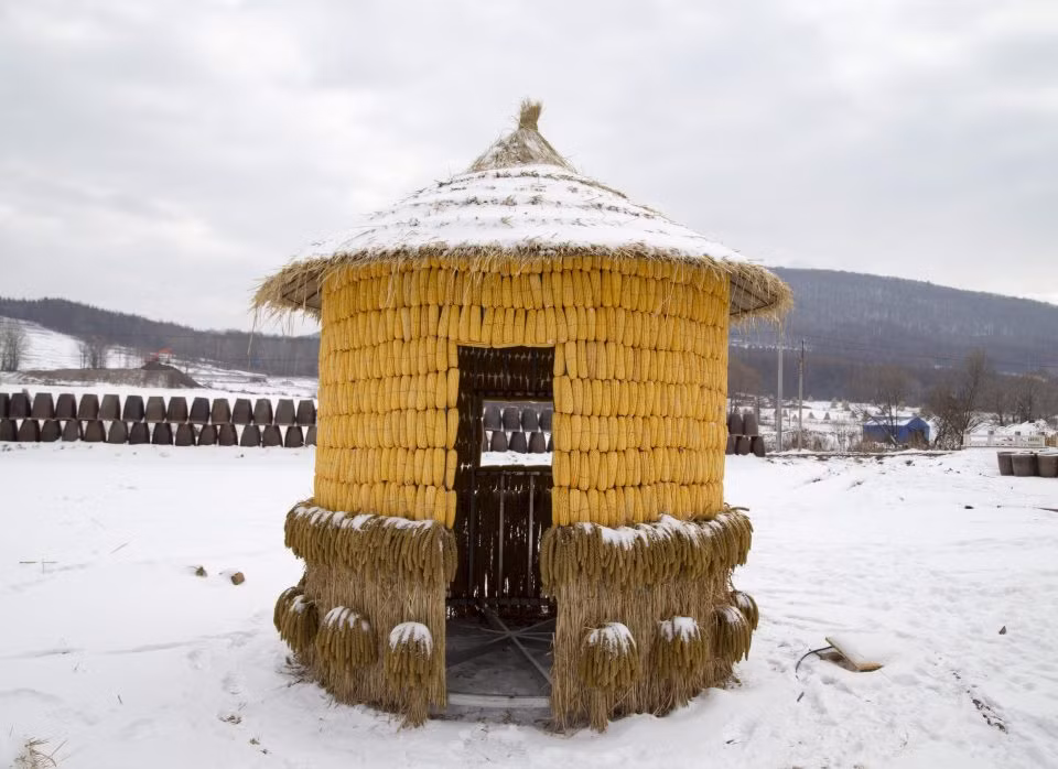 Anh Liu cho biết anh nuôi nhiều mèo để chúng canh giữ và bảo quản cho ngôi nhà khỏi bị lũ chuột phá hoại. (Ảnh Thesun)