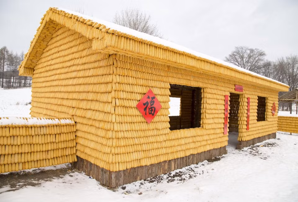 Anh Liu đã bỏ ra hơn 1.000 bảng, tương đương hơn 30 triệu đồng để mua hơn 30.000 bắp ngô làm vật liệu xây dựng công trình “để đời” này. (Ảnh Thesun)