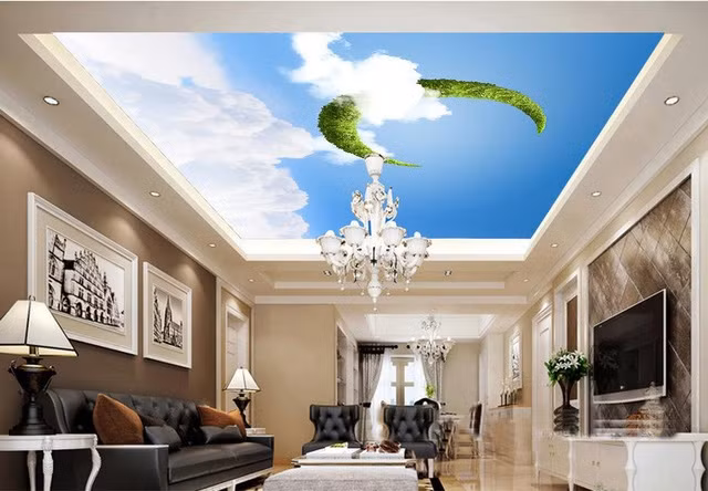 Hệ thống đèn chiếu sáng kết hợp trần nhà 3D khiến cả căn phòng như rộng rãi hơn hẳn. (Ảnh Imageshack)