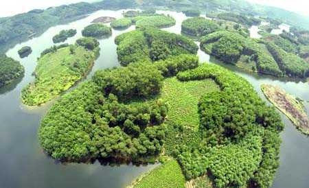 Khu công viên cây xanh rộng gần 35ha, bao gồm khu trung tâm dịch vụ đón tiếp và điều hành; khu nhà truyền thống dân tộc bản địa; khu vui chơi giải trí, thể thao, cắm trại; khu giải trí câu cá và nhà hàng; không gian cây xanh… Ảnh: Facebook.