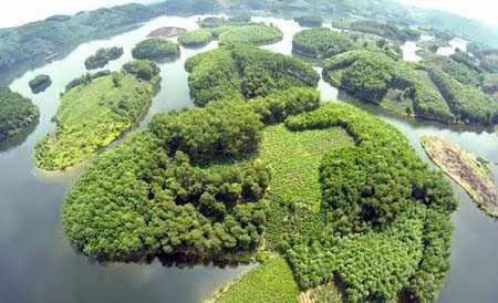 Khu công viên cây xanh rộng gần 35ha, bao gồm khu trung tâm dịch vụ đón tiếp và điều hành; khu nhà truyền thống dân tộc bản địa; khu vui chơi giải trí, thể thao, cắm trại; khu giải trí câu cá và nhà hàng; không gian cây xanh… Ảnh: Facebook.