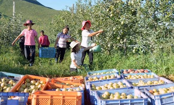Một phần cuộc sống của nhân dân Triều Tiên ngay tại hội chợ. Khách hàng có thể thăm quan và mua ngay tại vườn.