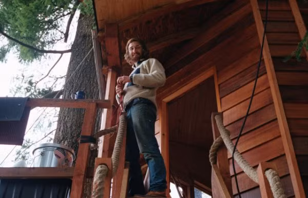 Ngoi nha tren cay dac biet leo bang cau thang day-Hinh-2