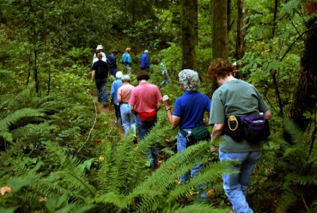 Khi đặt tour, du khách cần phải tìm hiểu về lịch trình của tour xem có hợp với mong muốn và yêu cầu của bạn hay không. Đồng thời, để bạn tìm hiểu trước điểm đến và có sự chuẩn bị nhất định về những nơi bạn sẽ đi qua. Tránh đi lạc đường, trong trường hợp đi theo đoàn thì không nên đi riêng lẻ. Ảnh minh họa.