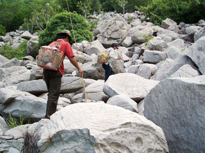 Đồ nghề của thợ săn thằn lằn là một cần câu dài khoảng 5 mét, gồm nhiều đoạn, có thể rút ngắn lại (giống như ăng - ten râu ti vi). Một sợi dây cước buộc chặt trên đầu cần câu, đầu dây còn lại thắt một thòng lọng nhỏ. Chiếc túi lưới đeo sau lưng để nhốt thằn lằn sau khi câu được và một chiếc túi nhỏ đựng mồi câu là những con bọ cánh cứng đủ loại... Ảnh: Nông nghiệp VN.