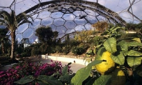 Dự án nhà kính tại Thanh Đảo, Trung Quốc là dự án đầu tiên, sẽ đưa vào vận hành thử nghiệm vào năm 2017, dự kiến mỗi năm sẽ có hàng triệu khách du lịch đến thành phố này.