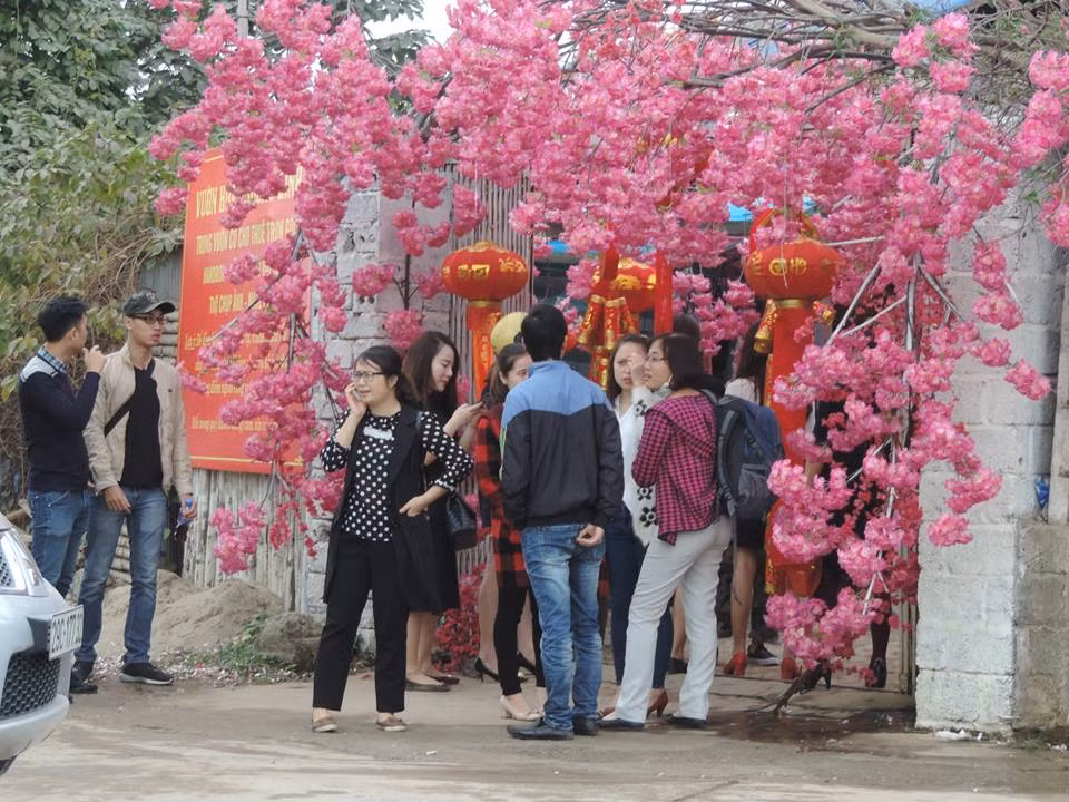 Tranh thủ cơ hội này, nhiều nhà vườn ở đây đã mở nhiều dịch vụ hút khách như bán vé vào vườn hoa, cho thuê áo quần, phụ kiện, trông giữ xe...