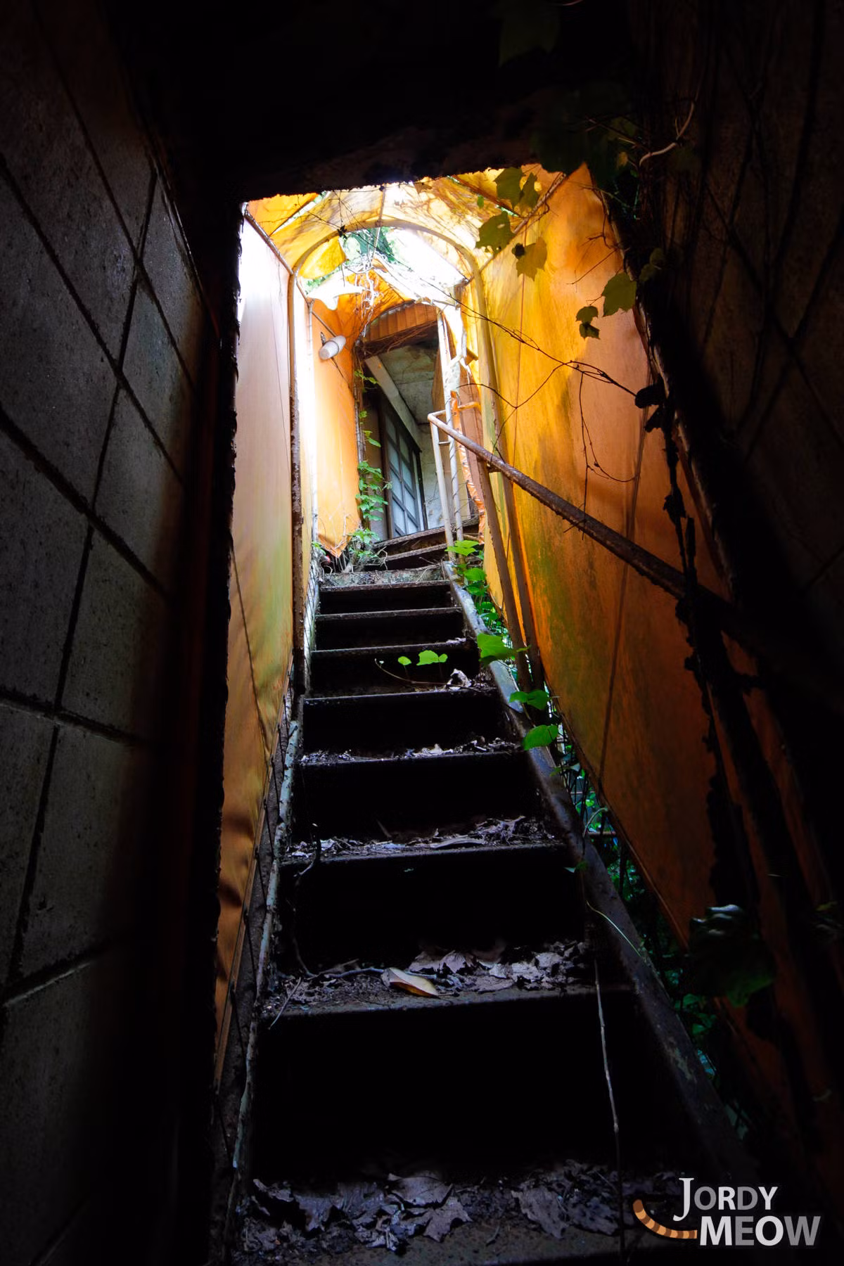 Nguồn ảnh: Haikyo.