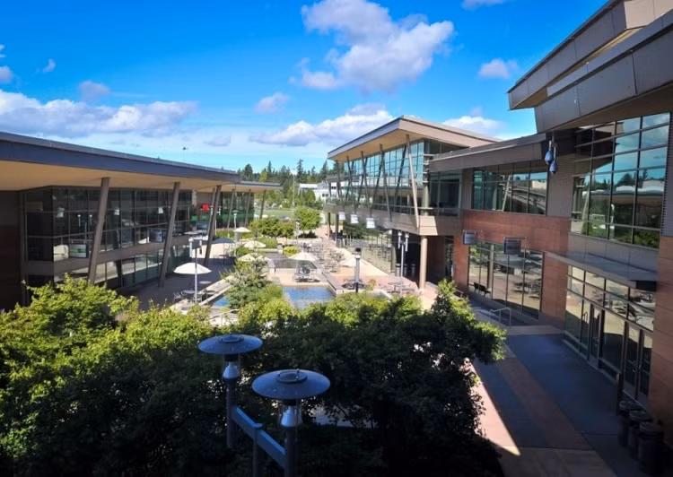 Với hơn 120 tòa nhà cho 12 bộ phận kinh doanh, khu trụ sở Công ty Microsoft ở Redmond, Washington được xem là chuẩn mực hoàn hảo cho các công ty hiện nay. 