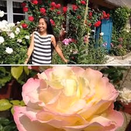 Biệt thự thiên đường của Đoan Trang ở Thụy Điển. Ngôi biệt thự của nàng sô cô la và chồng tây có hướng nhìn ra biển xanh bao la và được phủ đầy loại cây xanh, nhiều nhất là các loài hoa.