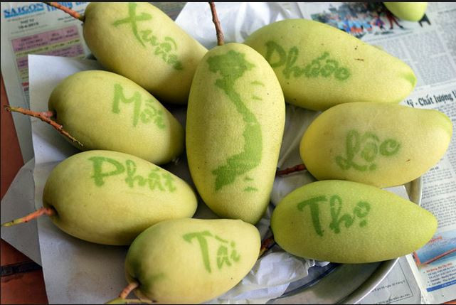 Giống xoài được “xăm trổ” với những chữ có ý nghĩa như Phước, Lộc, Thọ hay hình bản đồ Việt Nam cũng rất được săn đón bởi sự độc lạ của nó. Ảnh: Blogspot.