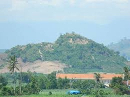 Năm ngoái (2015) anh Đào Minh Thảo, Đỗ Phú, Nguyễn Văn Chanh và Nguyễn Văn Tiện (Ninh Thuận) cũng đã phát hiện được mỏ vàng giữa lưng chừng đồi cháy đen. 4 anh đã thu gom gần 37 lượng vàng và bán được 1 tỷ đồng. (Ảnh: Ngọn đồi nơi 4 thanh niên phát hiện vàng).