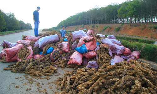 Nong san di thuong thuong lai TQ quyet mua o VN
