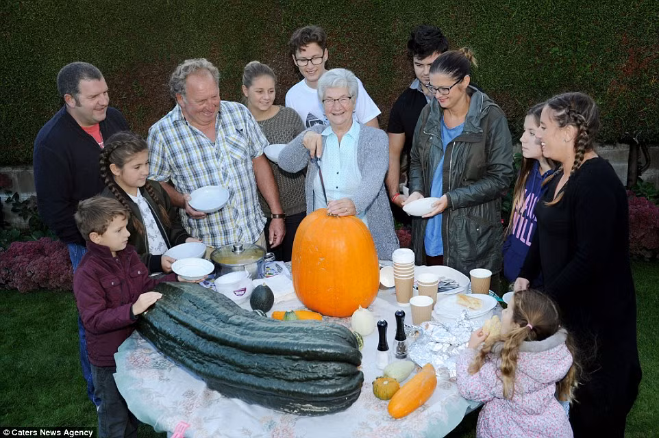 Ông Phillip ươm trồng các loại rau cỡ đại để phục vụ nhu cầu dinh dưỡng của cả gia đình. Bây giờ, những quả bí còn cao hơn cả đứa cháu 16 tuổi của ông.