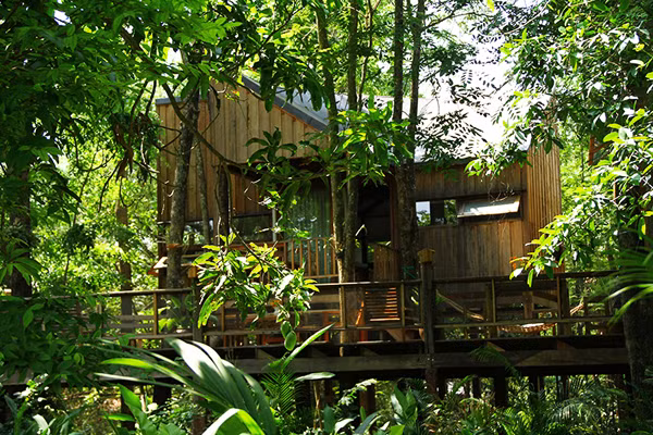 "Rung tim" voi ngoi nha go nho xinh giua rung-Hinh-10