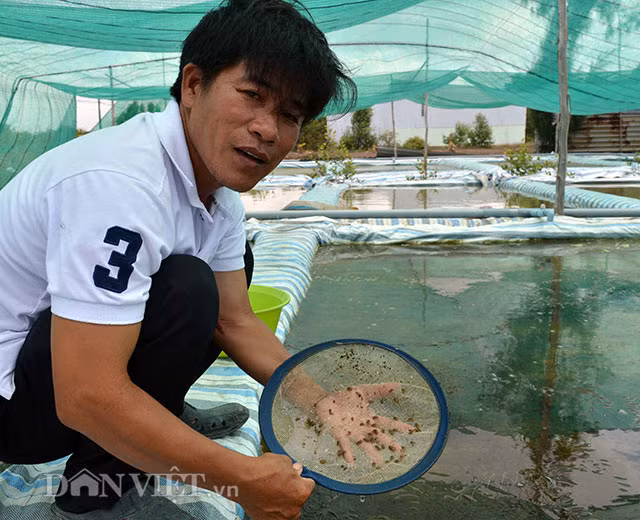 Nghe la: San xuat cua ti hon, bo tui dong tien