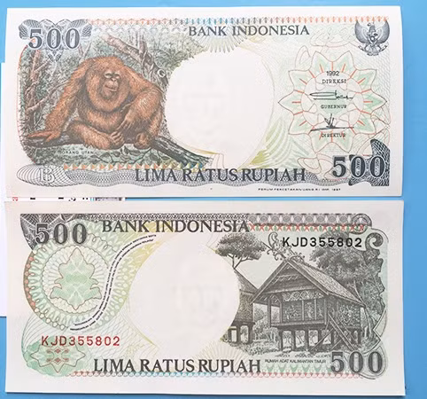 Tiền in hình khỉ mệnh giá 500 Rupiah của nước Indonesia. Ảnh: Shoptienmayman.