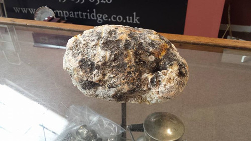 Phân cá. Trong một lần dắt chó đi dạo trên bãi biển Angelsey, anh Adam Partridge đã phát hiện một bãi chất thải có mùi đặc biệt. Vì tò mò, Adam đã mang chất thải này về nhà.