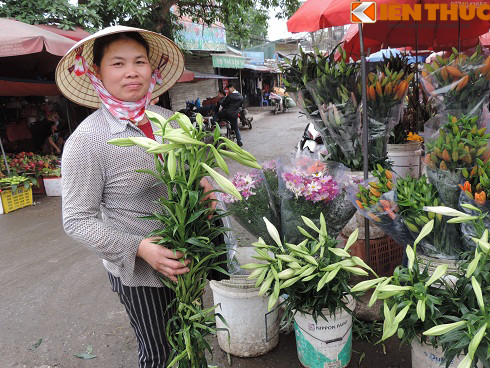 Theo các tiểu thương, giá hoa loa kèn đầu mùa đắt gấp 5 lần so với những ngày vào vụ. “Hoa loa kèn chỉ bán đắt nhờ vào những ngày đầu mùa như thế này thôi chứ tầm hơn nữa tháng nữa vào vụ chính thì rất rẻ, chỉ khoảng 20.000 đồng bó/5 cành”, bà Nguyễn Tâm Linh (52 tuổi) bán hoa tại chợ hoa Quảng Bá cho biết.