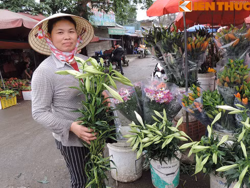 Theo các tiểu thương, giá hoa loa kèn đầu mùa đắt gấp 5 lần so với những ngày vào vụ. “Hoa loa kèn chỉ bán đắt nhờ vào những ngày đầu mùa như thế này thôi chứ tầm hơn nữa tháng nữa vào vụ chính thì rất rẻ, chỉ khoảng 20.000 đồng bó/5 cành”, bà Nguyễn Tâm Linh (52 tuổi) bán hoa tại chợ hoa Quảng Bá cho biết.