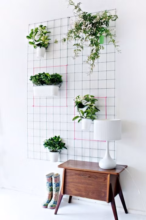 Nhanh tay tạo ngay một khu vườn xinh xắn bằng một mảnh lưới thép ô vuông.