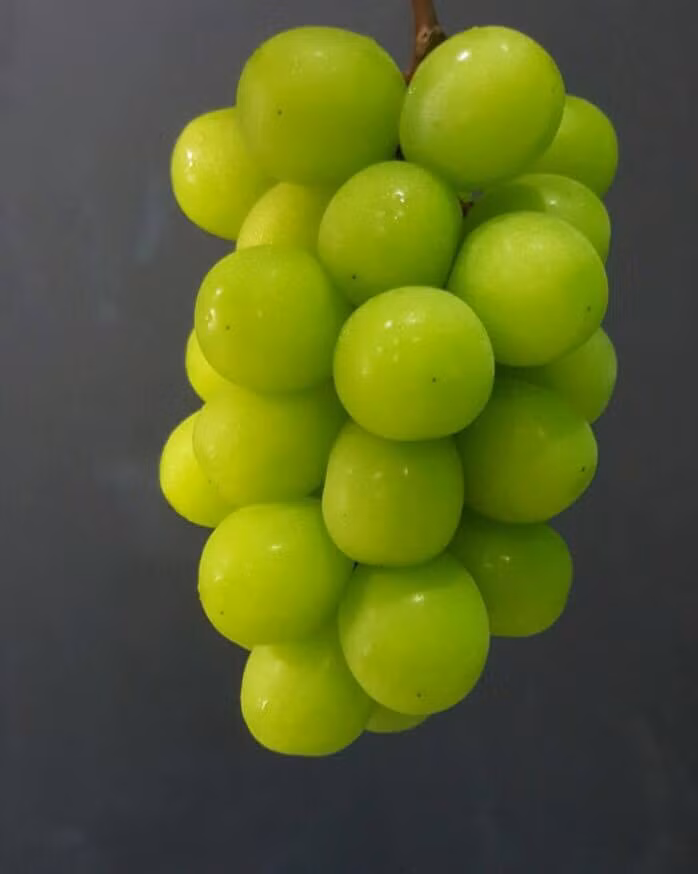 Hầu hết các cửa hàng hoa quả nhập ngoại ở Việt Nam bày bán nho mẫu đơn Nhật Bản với giá 1,4 - 1,5 triệu đồng/kg, thậm chí lúc khan hàng còn lên đến vài ba triệu đồng/kg. Điều này khiến nhiều người tỏ ra tò mò về loại quả đắt giá, đắt người mua này.