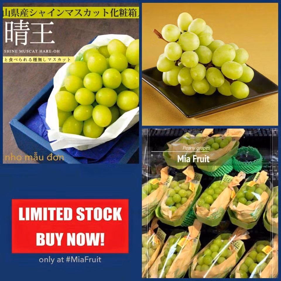  Nho mẫu đơn Nhật được bán và được ưa chuộng ở hầu hết các nước trên thế giới.