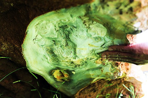 Tảng đá này ước tính có giá trị hàng tỷ đồng. Hiện, chính quyền địa phương tạm giữ tảng đá do nghi ngờ đây là loại đá quý thuộc quyền sở hữu Nhà nước.